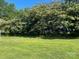 The backyard features beautiful blooming trees and a spacious green lawn at 408 Moose St, Albemarle, NC 28001