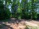 Scenic view of wooded land with lush green trees and a natural pathway, perfect for nature enthusiasts at 4237 Island Fox Ln, Denver, NC 28037