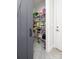 Walk-in pantry with ample shelving for storage and easy organization at 4237 Island Fox Ln, Denver, NC 28037