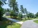 Desirable community streetscape featuring manicured lawns, mature trees and sidewalks at 4237 Island Fox Ln, Denver, NC 28037