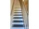 Staircase with blue carpet treads and a white handrail at 10416 Audubon Ridge Dr # 4, Cornelius, NC 28031