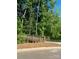 Explore the walking path that goes through the neighborhood at 10416 Audubon Ridge Dr # 4, Cornelius, NC 28031