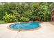 Beautiful backyard swimming pool surrounded by lush landscaping and mature trees at 12002 Cobham Ct, Huntersville, NC 28078
