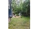 Backyard with a fire pit, pathway leading to a shed, and surrounded by mature trees and greenery at 27092 Village Dr, Fort Mill, SC 29708