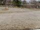 View of the backyard with dormant lawn and landscape at 3629 Cerelia Ln, Denver, NC 28037