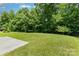 The lush green backyard features ample space for recreation and a backdrop of mature trees at 10129 Loch Lomond Dr, Charlotte, NC 28278