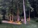 A lush backyard featuring wooded space, lighting, and a deer sculpture, blending nature with curated design at 322 Ethan Ln, Rock Hill, SC 29732