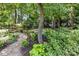 Lush backyard featuring a stone path, mature trees, and diverse plantings at 8700 Fox Tail Ln, Huntersville, NC 28078