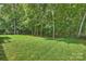 Expansive backyard with lush green grass and mature trees, providing a serene outdoor setting at 12644 Lahinch Ct, Charlotte, NC 28277