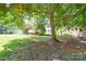 Large backyard with trees and a playhouse at 14821 Cumberland Dr, Charlotte, NC 28227