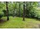 Large, grassy backyard with mature trees and a fire pit, perfect for outdoor gatherings and enjoying nature at 17433 Glassfield Dr, Huntersville, NC 28078