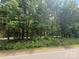 Roadside view of the wooded property, offering privacy and natural beauty at 2330 Neill Rd, Lancaster, SC 29720