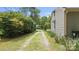 Long, secluded driveway leading to a charming home surrounded by lush greenery at 3980 English Oak Dr, Lincolnton, NC 28092