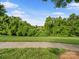 Scenic view showcasing a lush green space with dense foliage, a walking path, and a tranquil pond in the distance at 4607 Silk Tree Ln, Rock Hill, SC 29732
