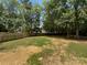 An expansive backyard with lush green grass, bordered by mature trees, and a wooden fence at 1523 Merrie Meadow Ct, Rock Hill, SC 29732
