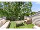 Inviting rooftop deck with artificial grass, stylish seating, and a tranquil view of surrounding lush greenery at 318 N Dotger Ave, Charlotte, NC 28204