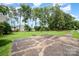 Well-maintained front yard with lush greenery and a concrete driveway at 3810 Yorkford Dr, Charlotte, NC 28269