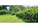 Lush backyard featuring vibrant greenery and well-manicured lawn, offering privacy and tranquility at 600 College Ave, Rock Hill, SC 29730