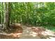 A scenic walking path lined with mature trees and lush greenery at 10321 Lemington Dr, Mint Hill, NC 28227