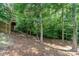 Wooded backyard featuring a large treeline and privacy at 10237 Broken Stone Ct, Charlotte, NC 28214