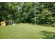 Large, grassy backyard with mature trees and a play area with swing set at 232 Harmony Hills Dr, Catawba, SC 29704