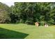 Spacious backyard featuring lush greenery and a play set at 232 Harmony Hills Dr, Catawba, SC 29704