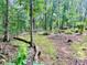 Scenic backyard with lush greenery, mature trees, and a small shed nestled in the woods, offering privacy and tranquility at 237 Antietam Rd, Statesville, NC 28625
