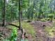 View of the wooded backyard, offering a serene and private setting at 237 Antietam Rd, Statesville, NC 28625