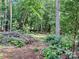 A lush backyard scene filled with verdant trees, vegetation, and natural debris, creating a tranquil outdoor environment at 237 Antietam Rd, Statesville, NC 28625
