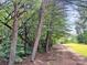 Gravel driveway through a wooded area. The driveway leads towards an open grassy area, lined by trees with green foliage at 237 Antietam Rd, Statesville, NC 28625