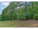 Green lawn rolling down to a line of tall lush trees creating a park-like scenery in the backyard at 11922 Kimberfield Rd, Matthews, NC 28105