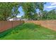 Expansive, well-maintained backyard with lush green grass and privacy fencing at 209 Keswick Ave, Charlotte, NC 28206