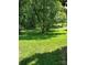 Lush backyard with a canopy of mature trees at 2104 Farmbrook Dr, Statesville, NC 28625