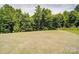 Large, level backyard with healthy lawn and mature trees along the perimeter at 5121 Arbordale Way, Mount Holly, NC 28120