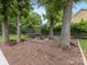 Beautiful backyard featuring mature trees, a charming fire pit, and an inviting trampoline at 9908 Park Springs Ct, Charlotte, NC 28210