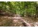 A disc golf basket sits on a wooded trail at 113 Foxfield Ln, Matthews, NC 28105