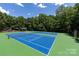 Outdoor tennis courts surrounded by green trees in a community at 113 Foxfield Ln, Matthews, NC 28105