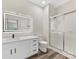 Modern bathroom features a large mirror, vanity, and walk-in shower at 17136 Red Feather Dr, Charlotte, NC 28277