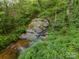 Picturesque creek flowing through a lush, wooded area, highlighting the property's natural beauty at 2004 Viscount Dr, Matthews, NC 28104