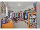 Spacious walk-in closet with ample storage and organization at 5009 Granite Creek Ln, Charlotte, NC 28269
