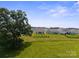 An aerial view of the home's backyard with a large grassy area and nearby homes, showcasing community and space at 117 Carmine Ct, Troutman, NC 28166