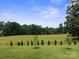 Expansive backyard featuring mature trees and lush green grass perfect for outdoor activities and relaxation at 117 Carmine Ct, Troutman, NC 28166