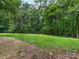 Backyard with grassy area surrounded by lush green trees at 2141 Halford Pl, Charlotte, NC 28211