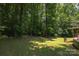 Lush backyard with mature trees, a brick patio, and a green home exterior at 215 W Eastway Drive Dr, Charlotte, NC 28213