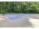 Well-maintained tennis and pickleball courts providing recreational opportunities in the community at 3969 Sheffield Dr, Charlotte, NC 28205