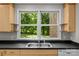 Kitchen sink area with black countertops and a window view of a green backyard at 4444 Steepleton Way, Charlotte, NC 28215