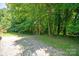 Great trees provide shade for the backyard at 5717 Fairchase Ave, Charlotte, NC 28269