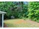 Expansive backyard featuring mature trees and a storage shed at 10016 Heathergate Ln, Mint Hill, NC 28227