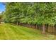 Backyard featuring a green lawn, wooden fence, and lush trees at 103 Prestwick Ct, Salisbury, NC 28146