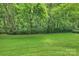 Expansive backyard with lush green grass and mature trees, ideal for relaxation and outdoor enjoyment at 2011 Fromby Ct, Charlotte, NC 28211